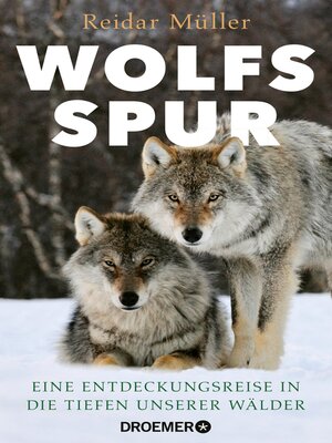 cover image of Wolfsspur